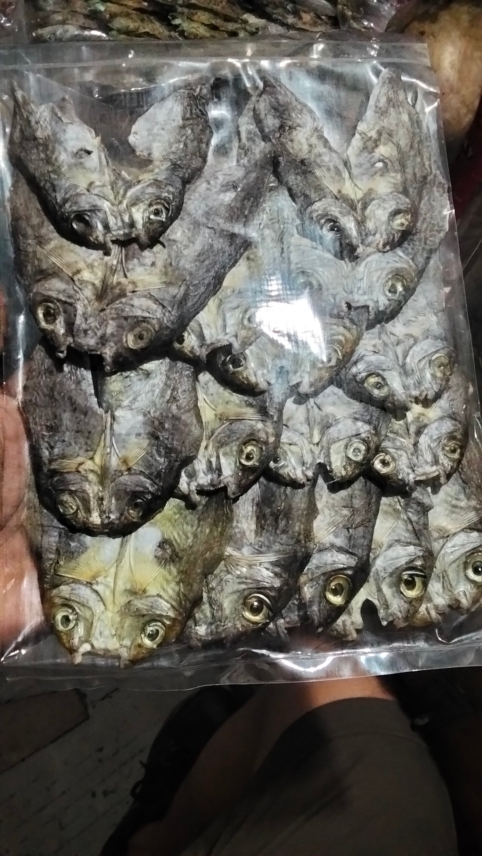 Dried Danggit