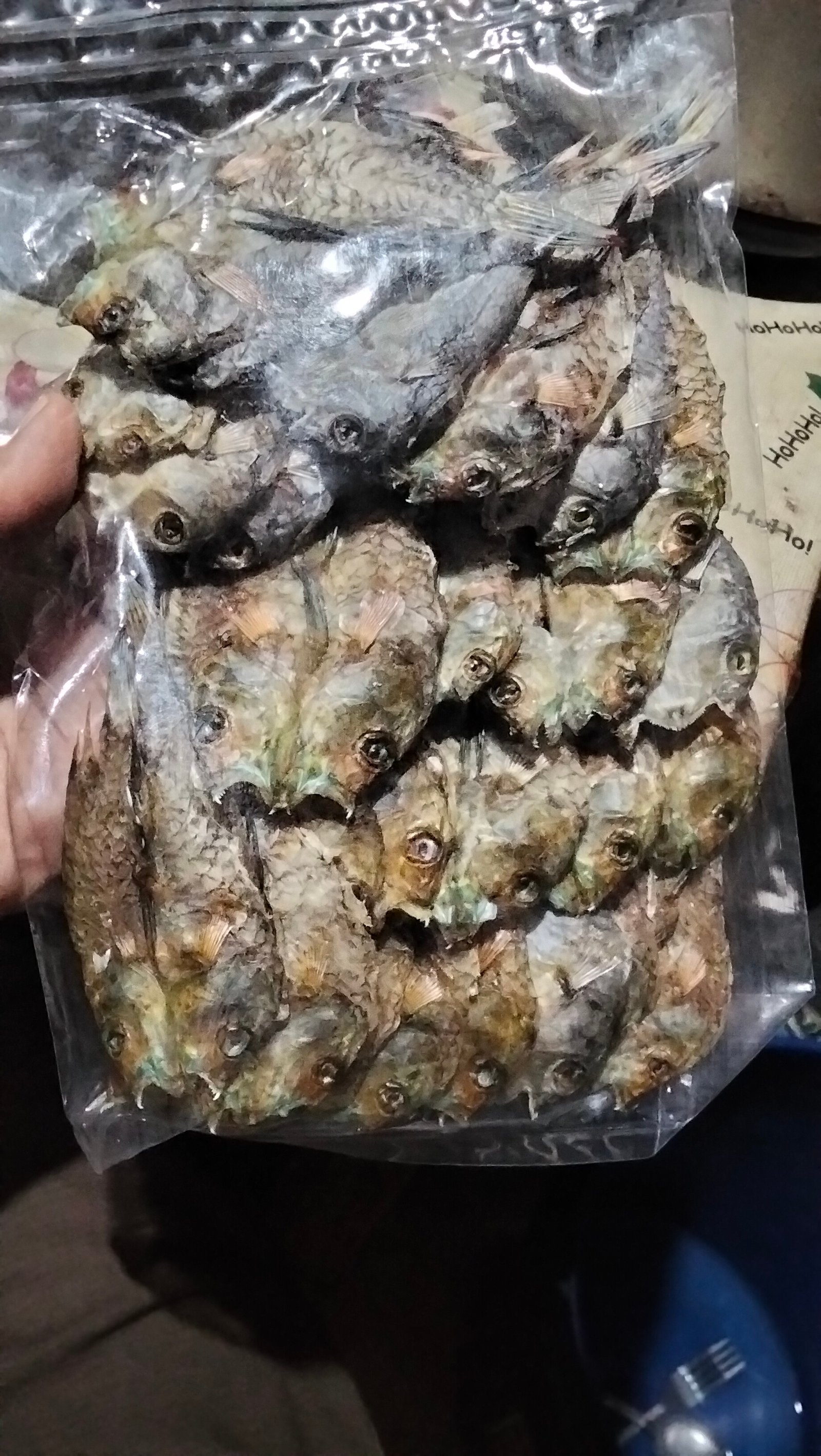 Pinikas Sari