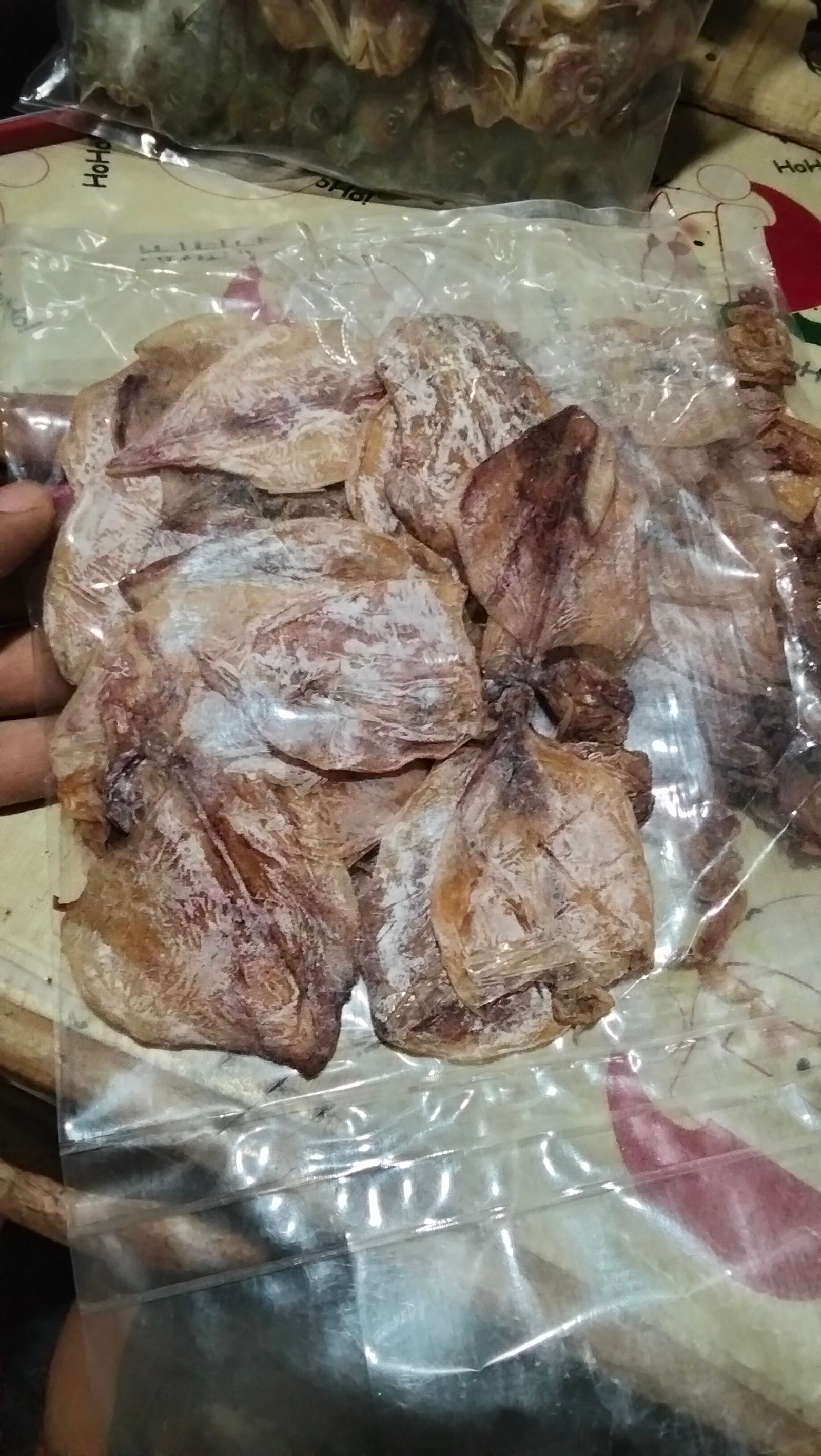 Nokos or Squid