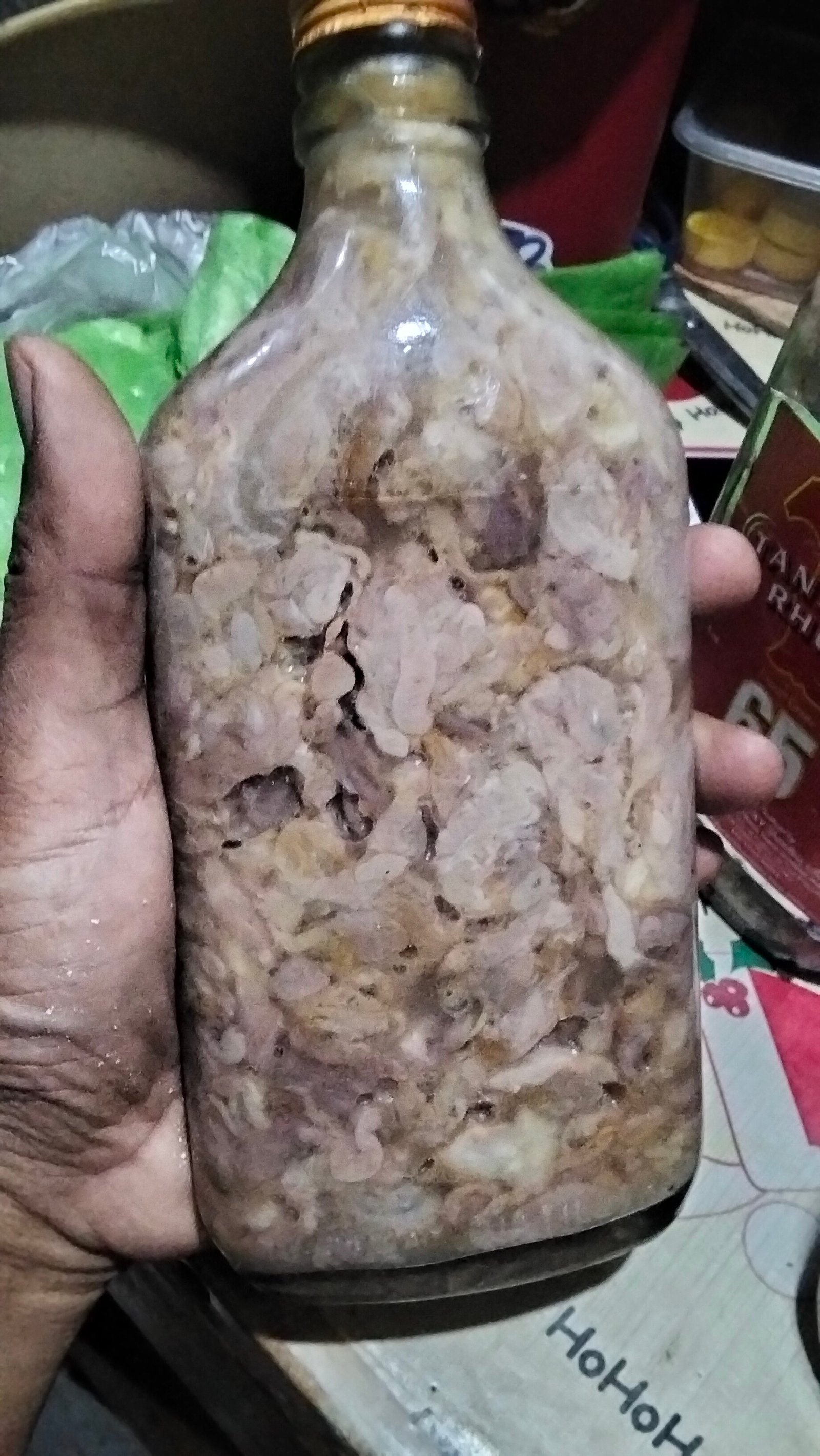Dayok Ginamos
